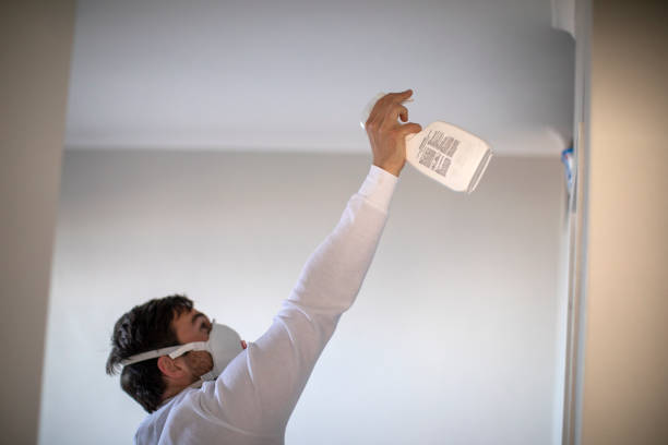 Best Certified Mold Removal  in Piney, AR