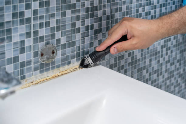 Best Commercial Mold Removal  in Piney, AR